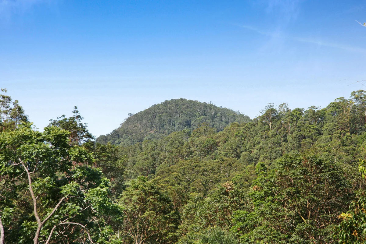 Additional image 15 of 22 Petsch Creek Road, Tallebudgera Valley QLD 4228