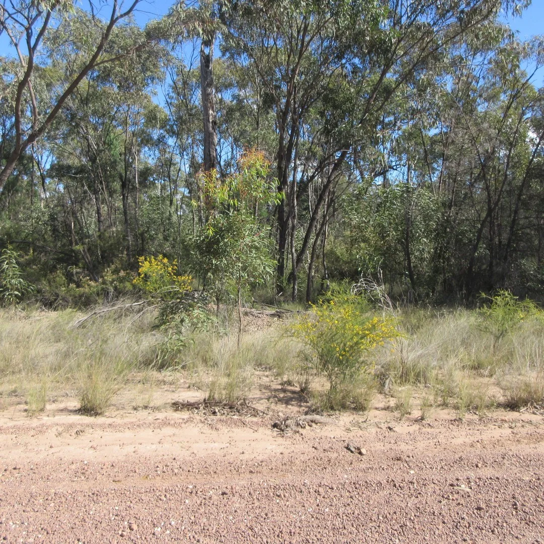 Lot/113 Lewington Road, Tara QLD 4421