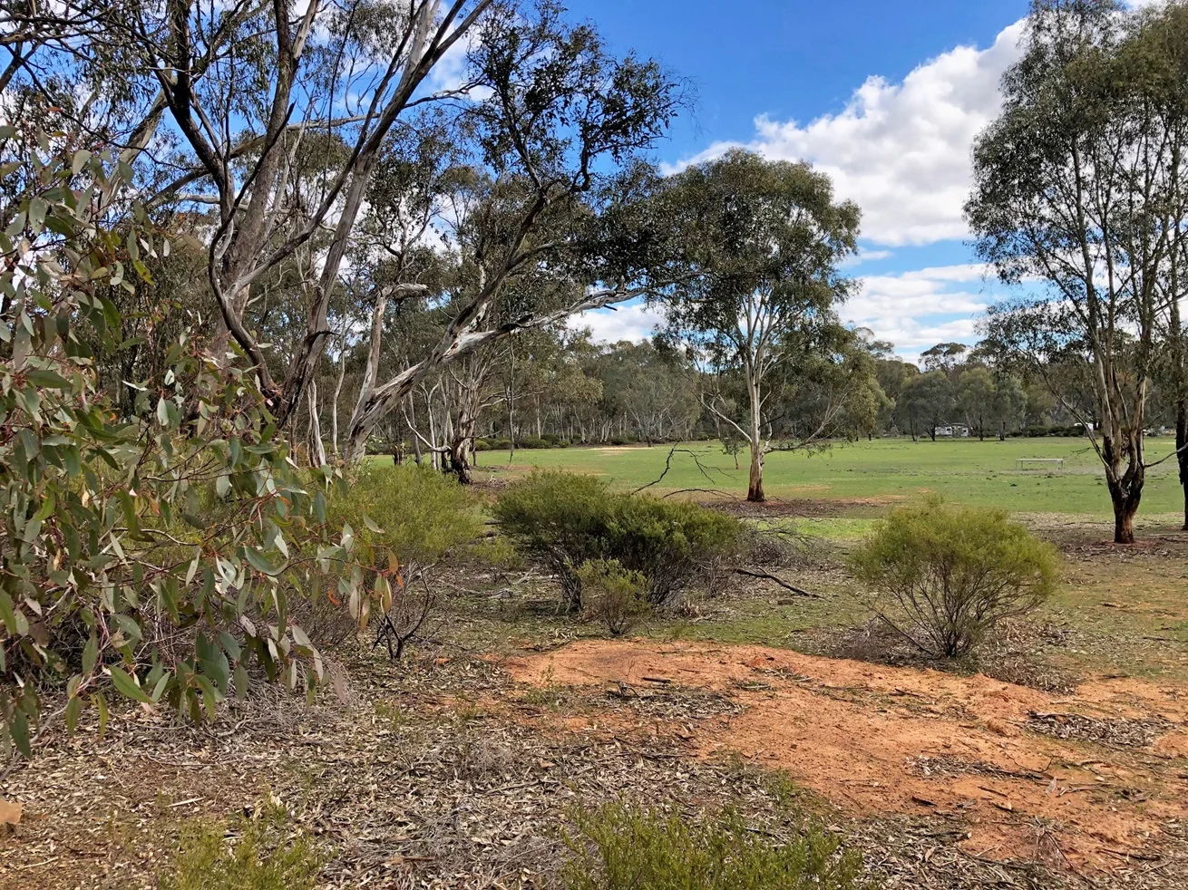 Additional image 6 of 35 Wakefield Street, Wedderburn VIC 3518