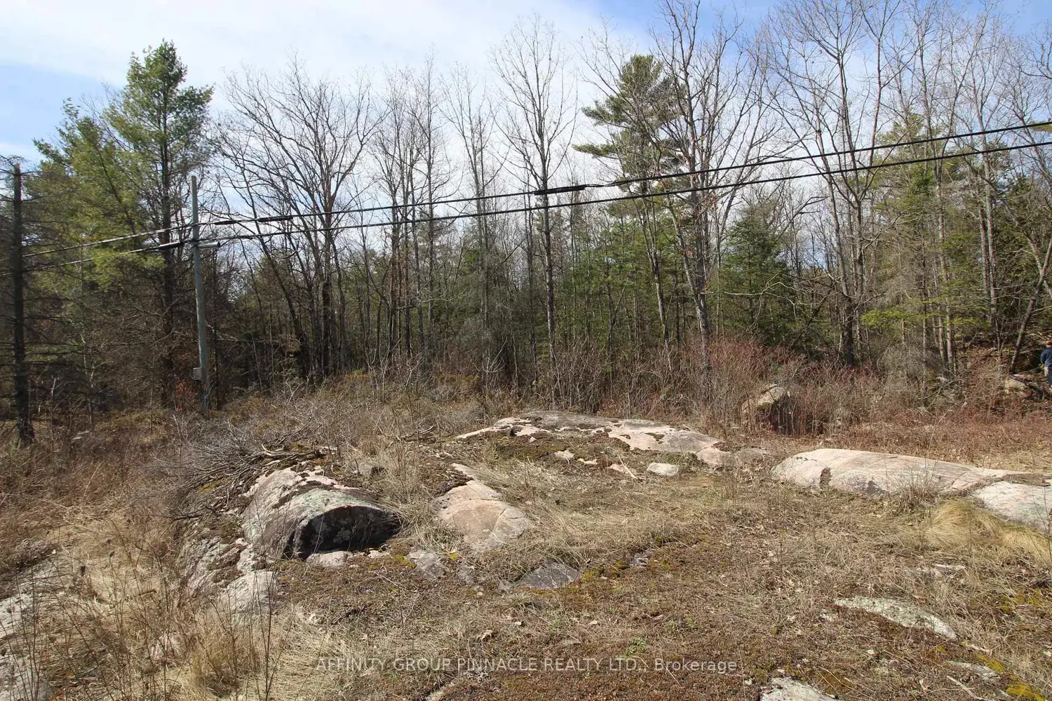 Additional image 6 of Lot 15 Concession 9