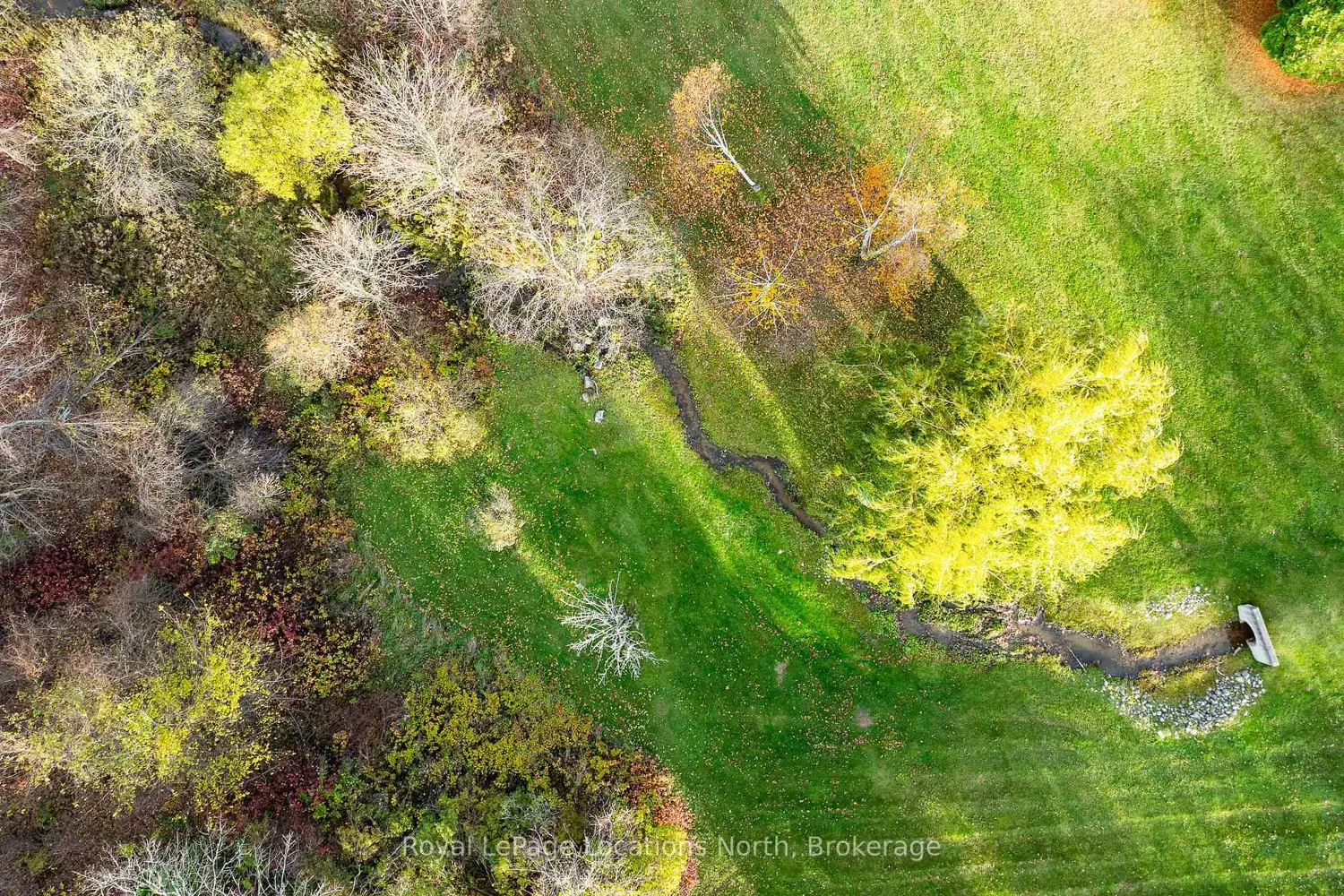 Additional image 14 of 556036 6Th Line