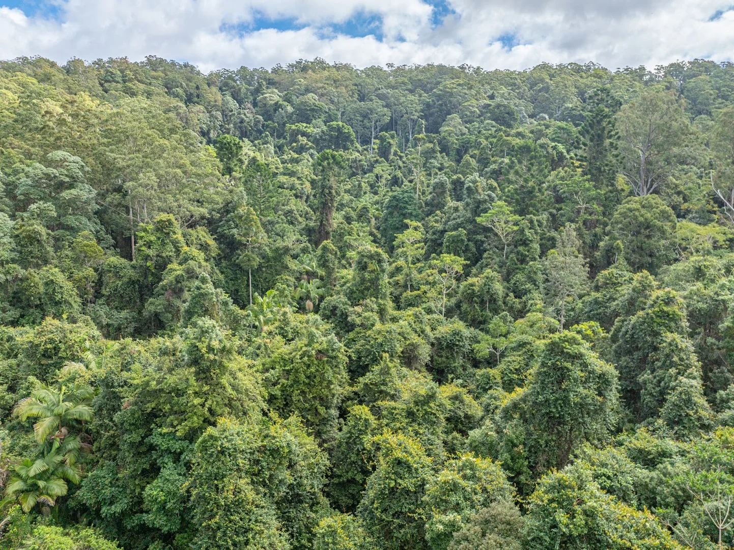 Additional image 32 of 69 Hidden Valley Road, Barkers Vale NSW 2474