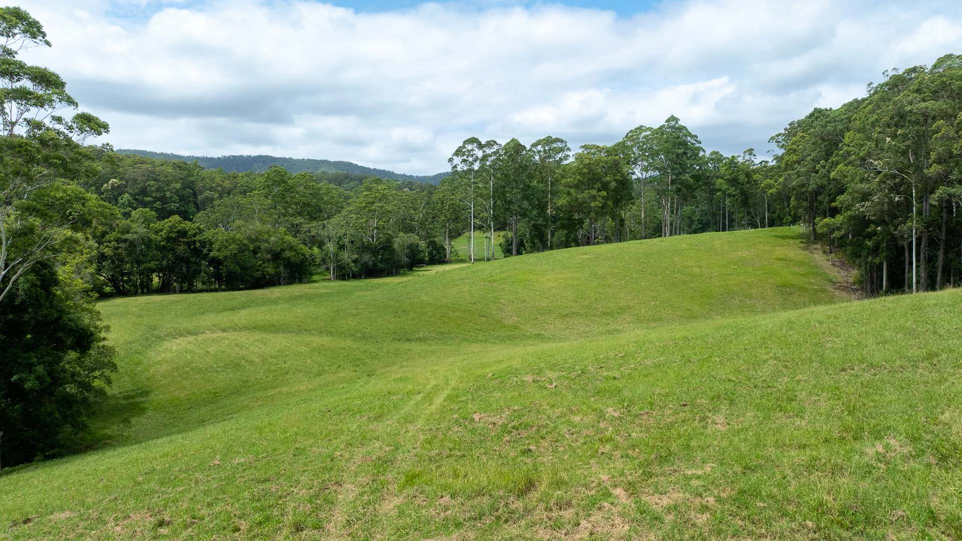 Additional image 4 of 300 Martells Road, Bellingen NSW 2454