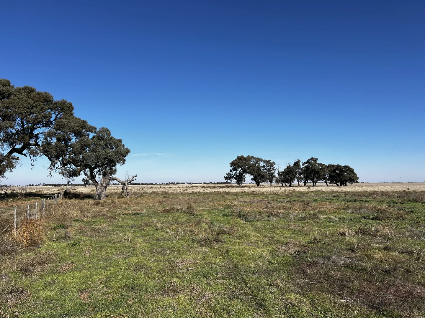 Additional image 4 of CA 8 Murray Valley Highway, Torrumbarry VIC 3562