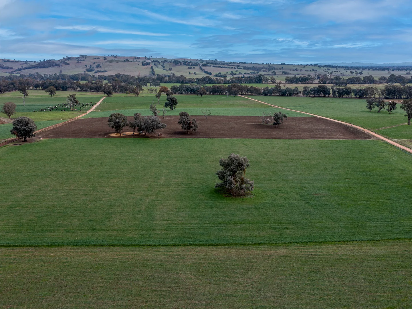 Additional image 27 of 301 Boggy Creek Road, Moyhu VIC 3732