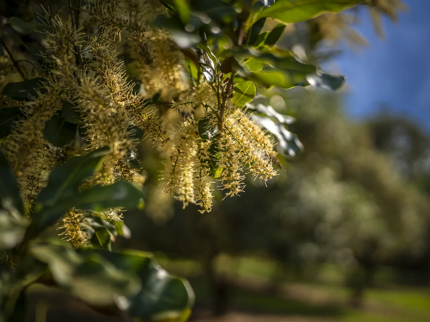 Additional image 11 of 70 Aural Vale Road, North Deep Creek QLD 4570