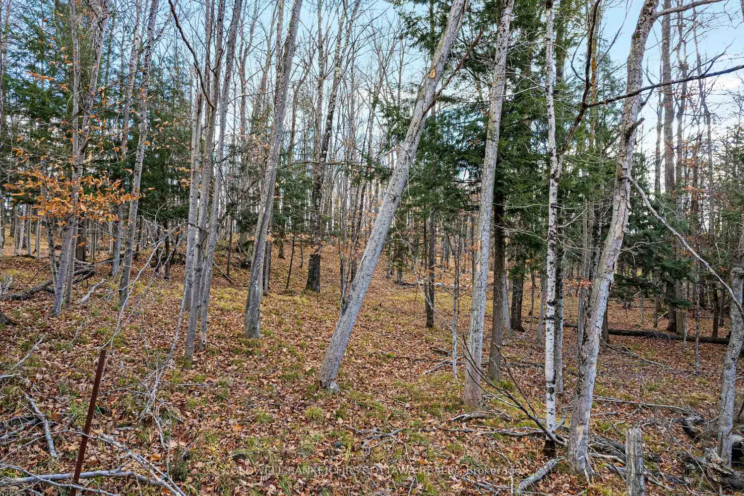 Additional image 4 of Pt 1-00 Herron Mills Road