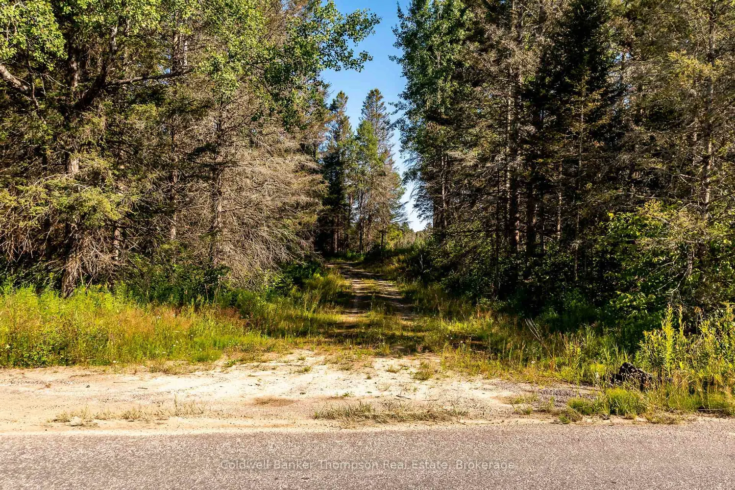 Additional image 3 of 254 Pickerel Lake Road