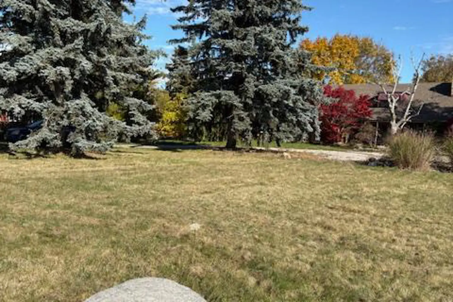 Additional image 8 of 281 Barrie Street
