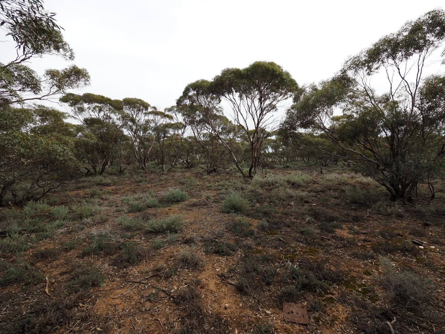 Additional image 15 of Lots 1-6, Towns Street, Chillingollah VIC 3585