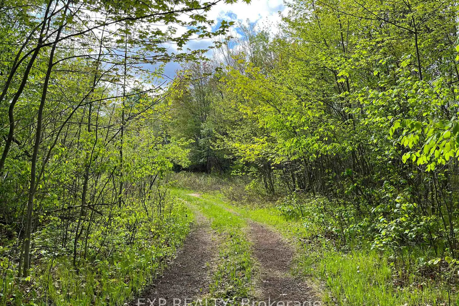 Additional image 6 of Lot 4 Sandy Shores Trail