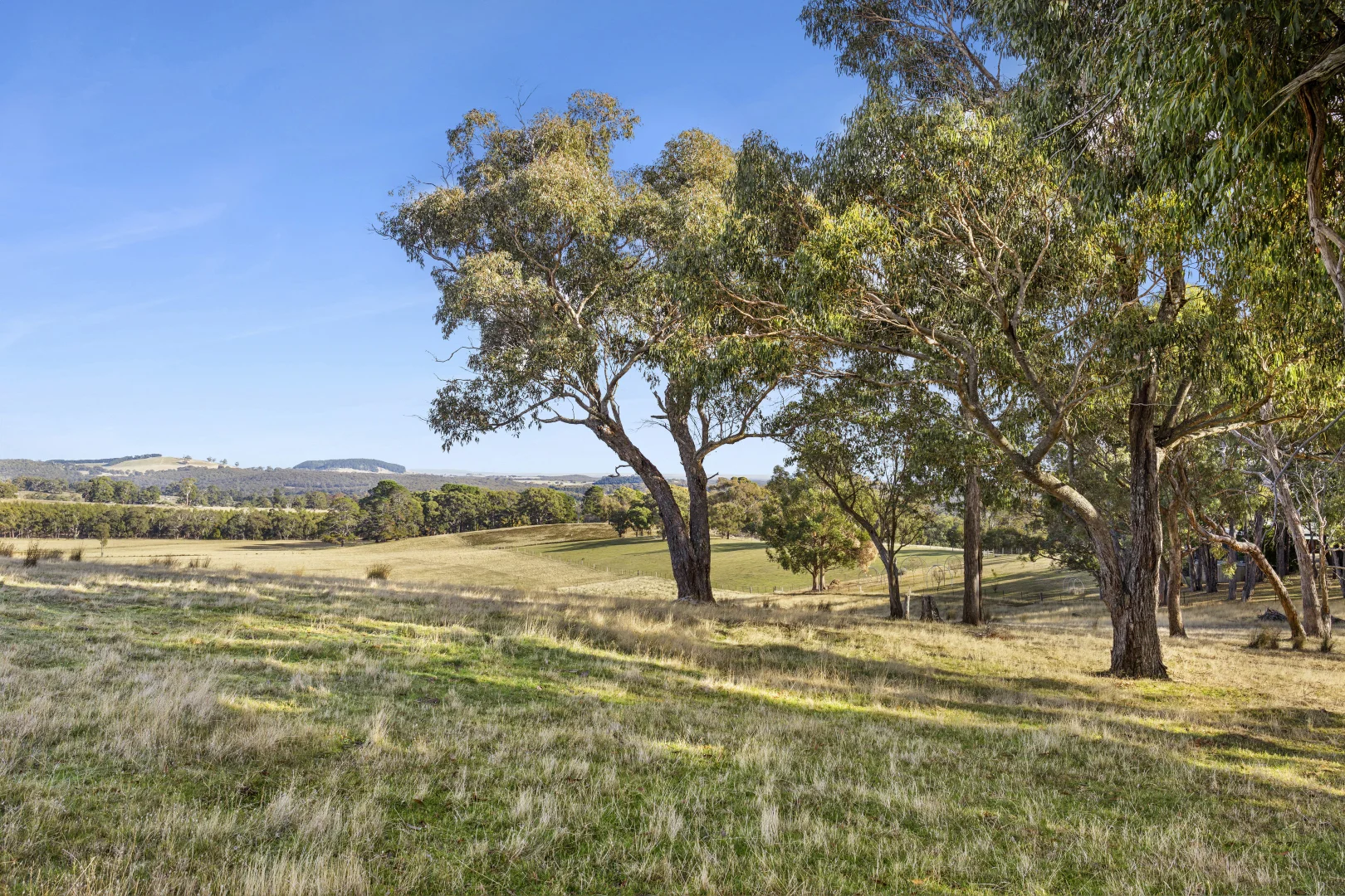 Additional image 6 of 1/104 Holcombe Road, Glenlyon VIC 3461