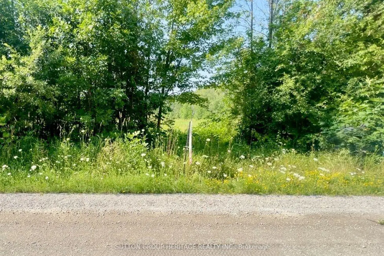 Additional image 3 of Pt Lt 7 Conc 9