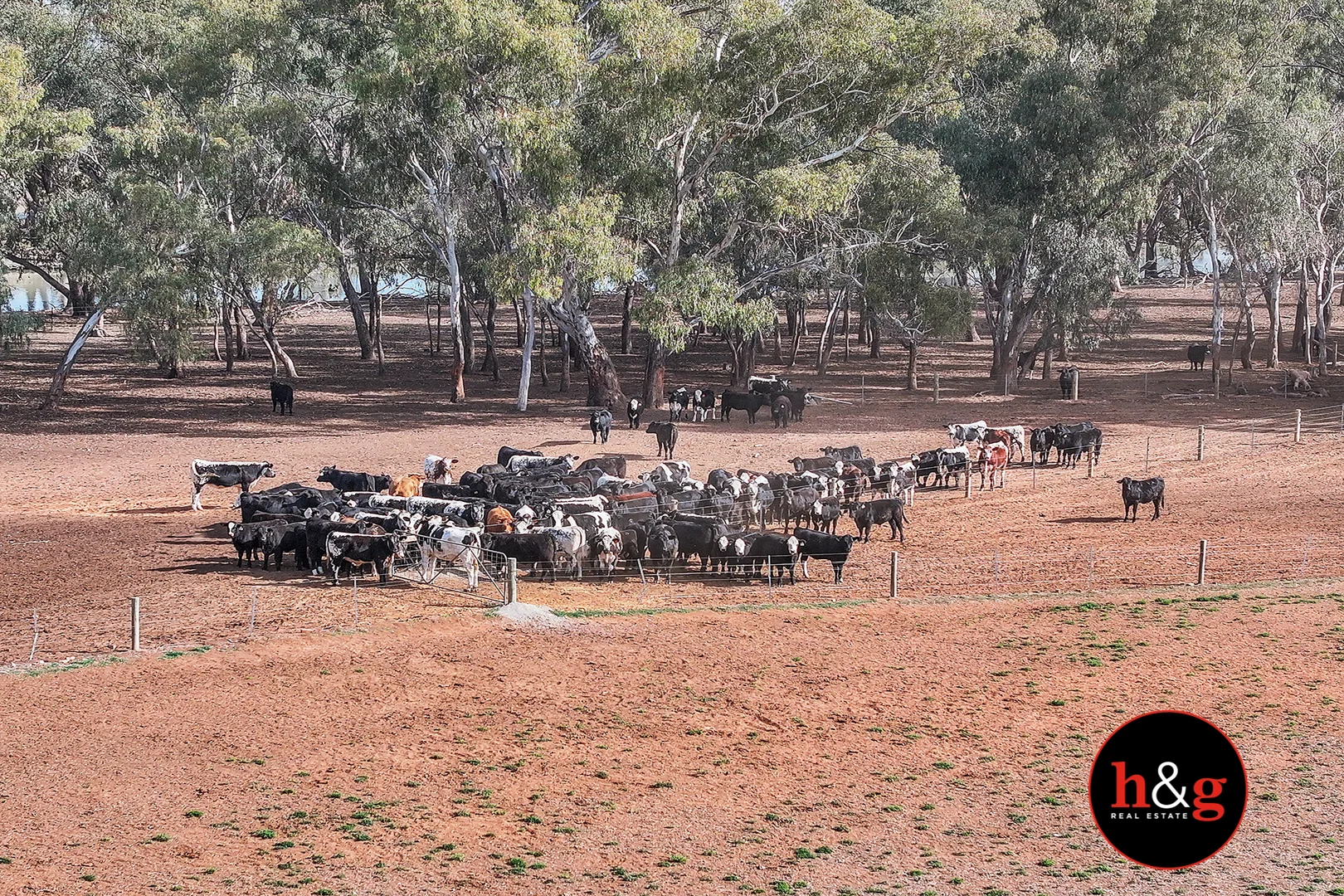 Additional image 9 of Grinters Road, Waaia VIC 3637
