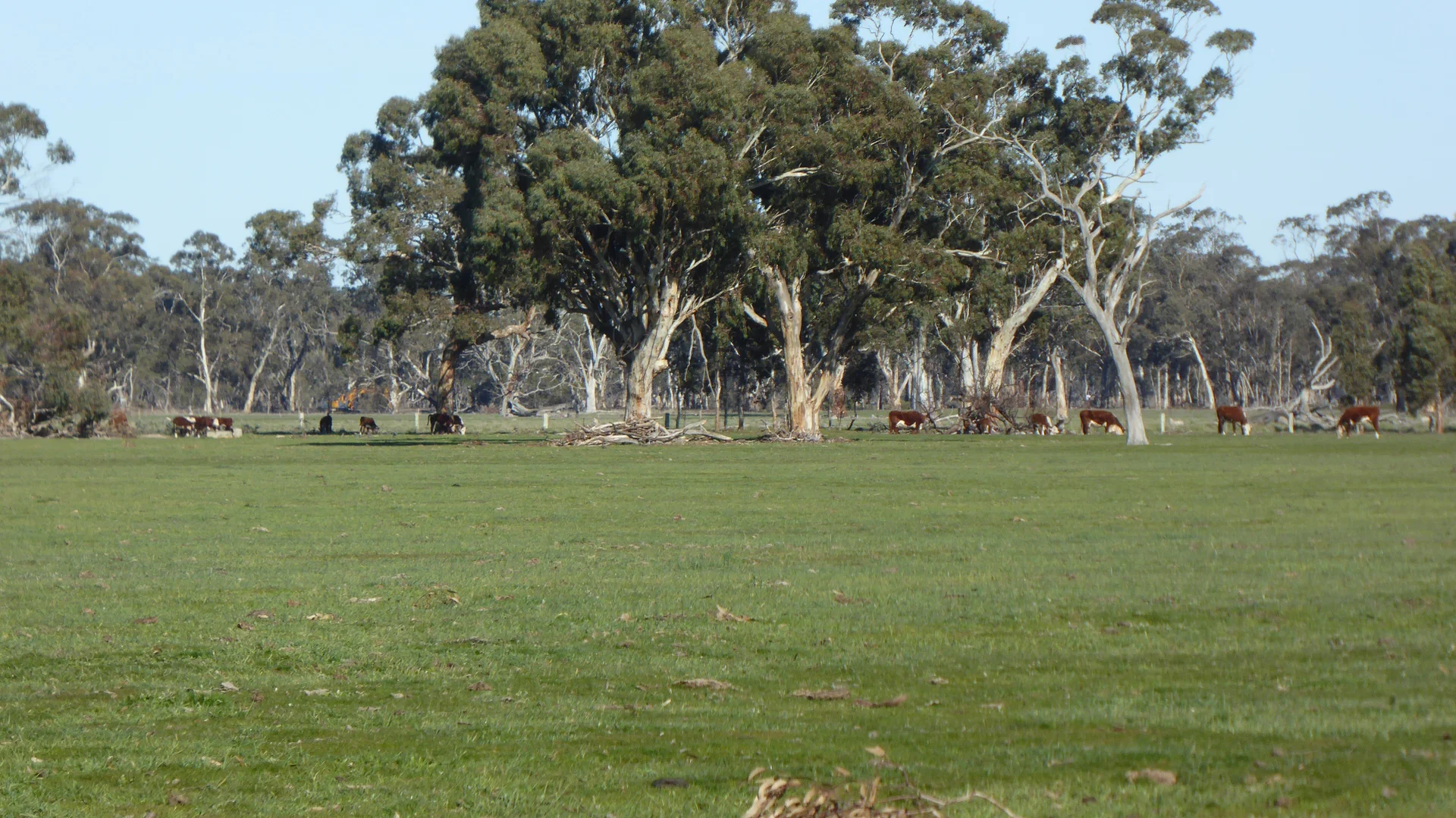 Additional image 20 of 2147 Bangham Road, Frances SA 5262