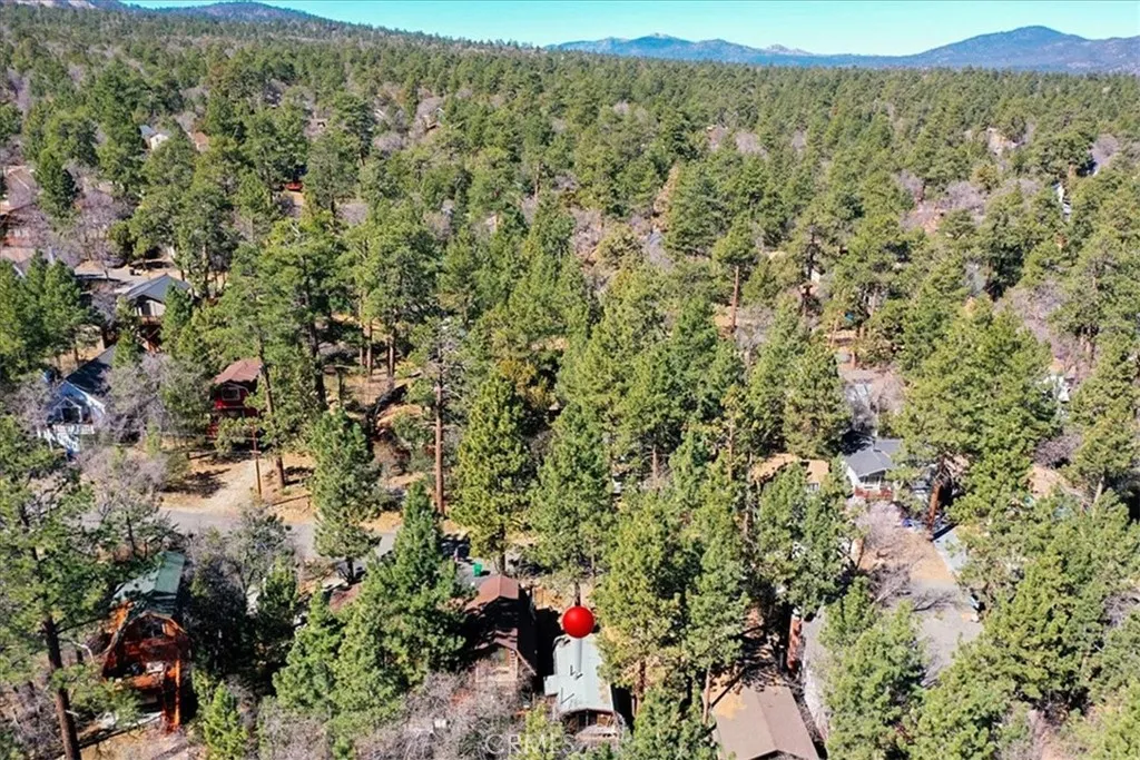 Additional image 27 of 813 Cedar Lane, Sugarloaf, CA 92386