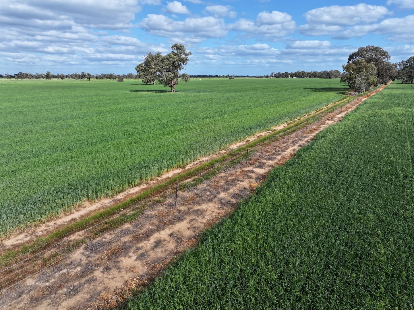 Additional image 5 of 556 Lowe Road, Rochester VIC 3561