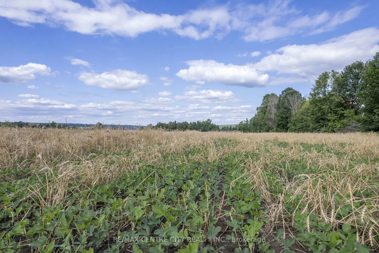 Additional image 14 of Pt Lts 38 & 39 Conc 9