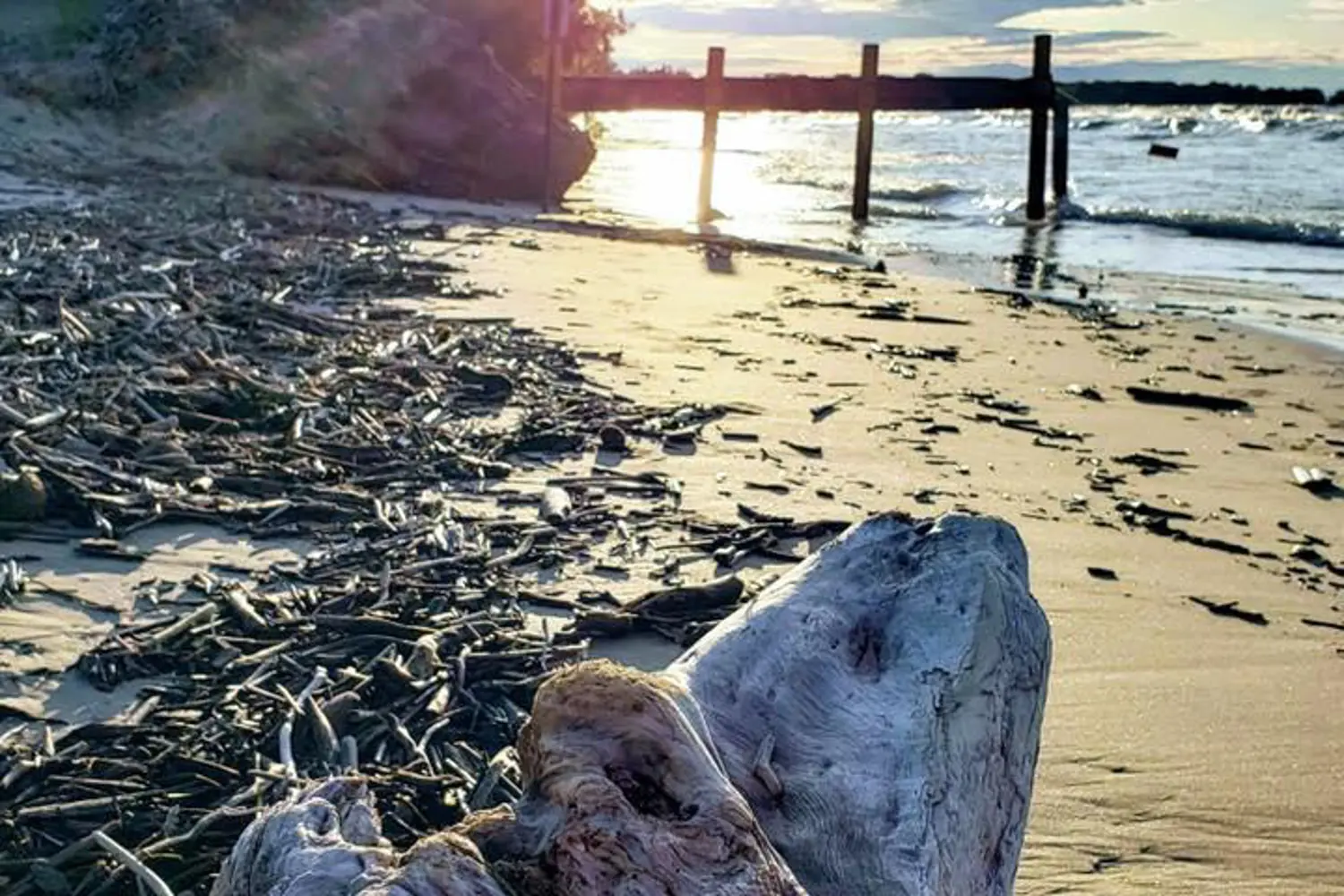 Additional image 18 of Part 3 W. Ipperwash Road