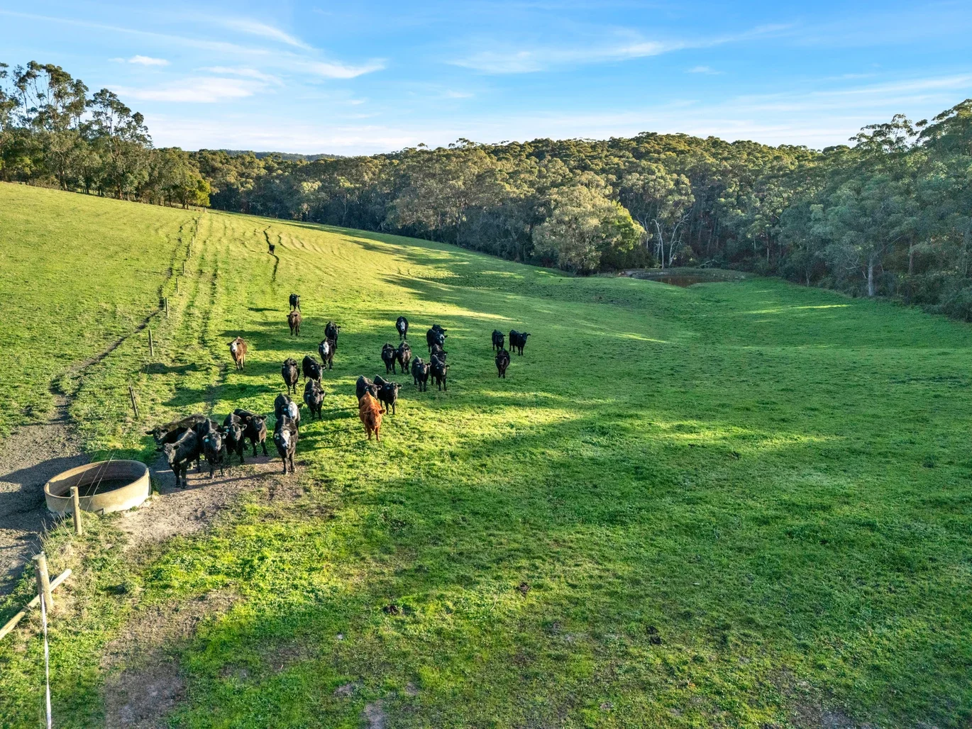 Additional image 28 of 2160 Meeniyan -Promontory Rd, Fish Creek VIC 3959
