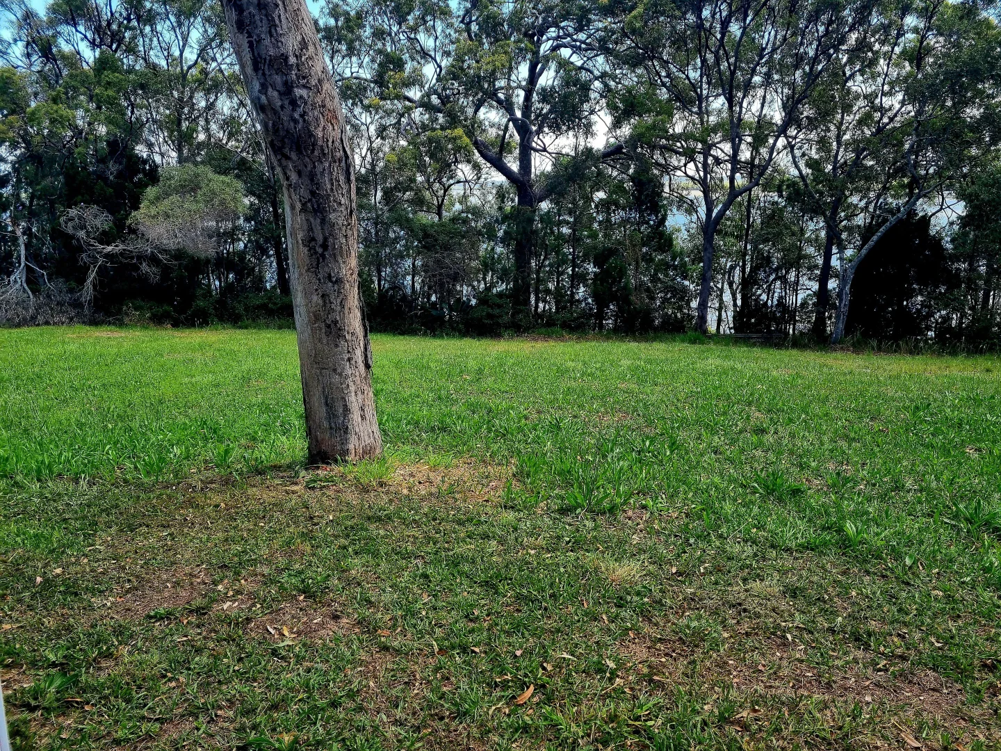 Additional image 8 of 9 Cliff Terrace, Macleay Island QLD 4184