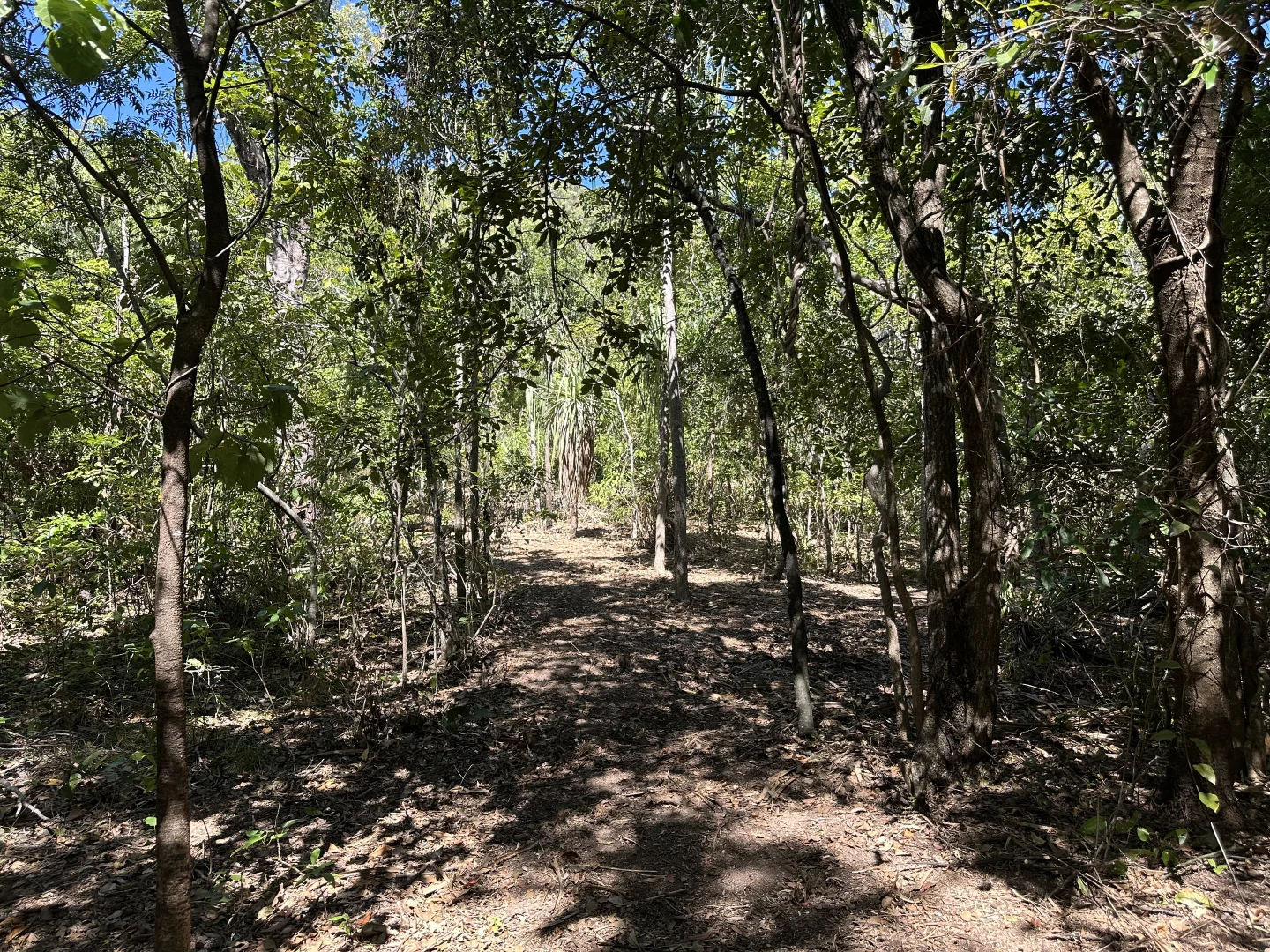 Additional image 9 of 135 Horseshoe Bay Rd, Horseshoe Bay QLD 4819