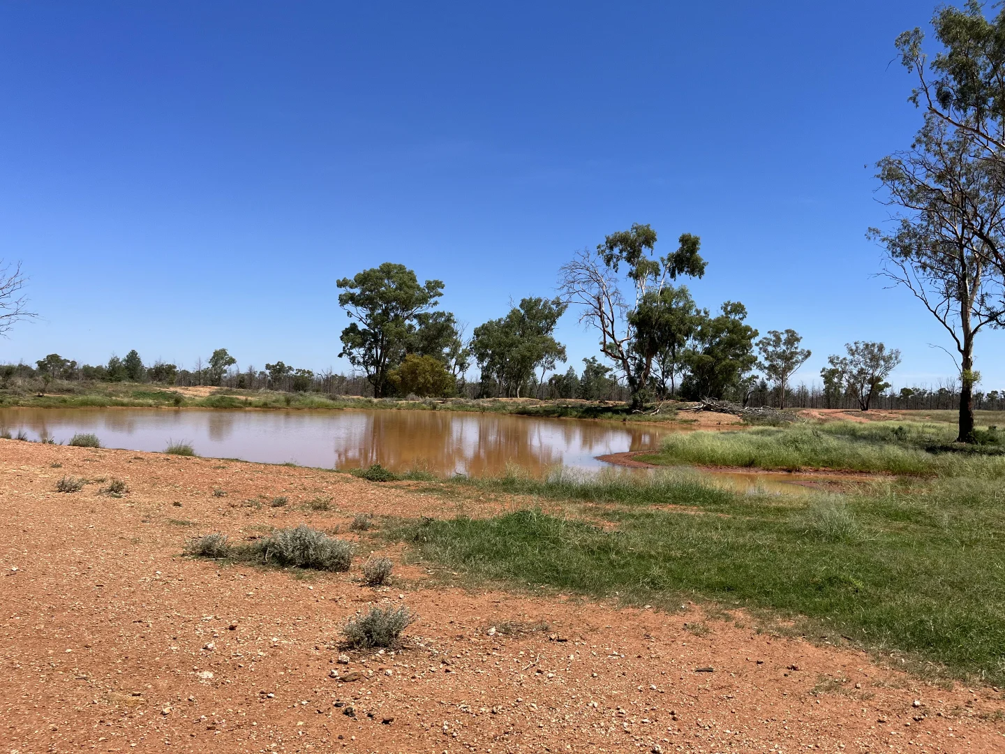 Additional image 18 of "Glendale"/4666 Mitchell Highway, Girilambone NSW 2831