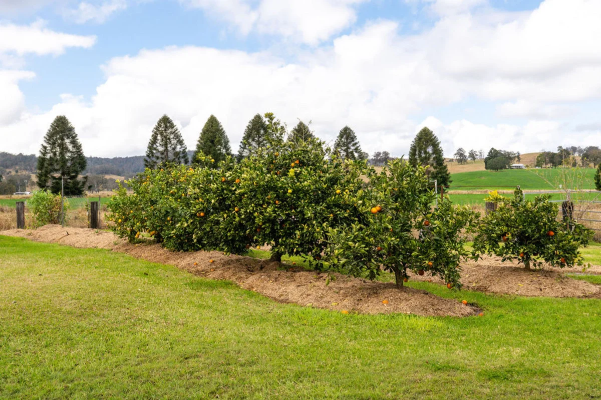 Additional image 31 of 7095 Bruxner Highway, Mallanganee NSW 2469