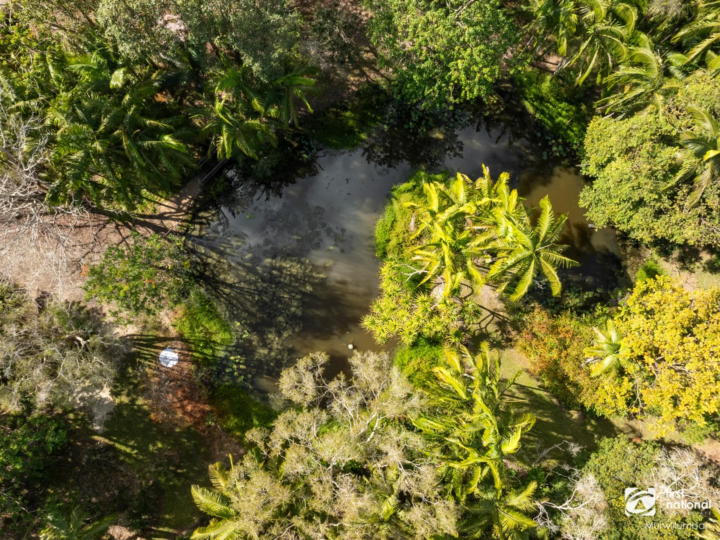 Additional image 32 of 7083 Tweed Valley Way, Dunbible NSW 2484