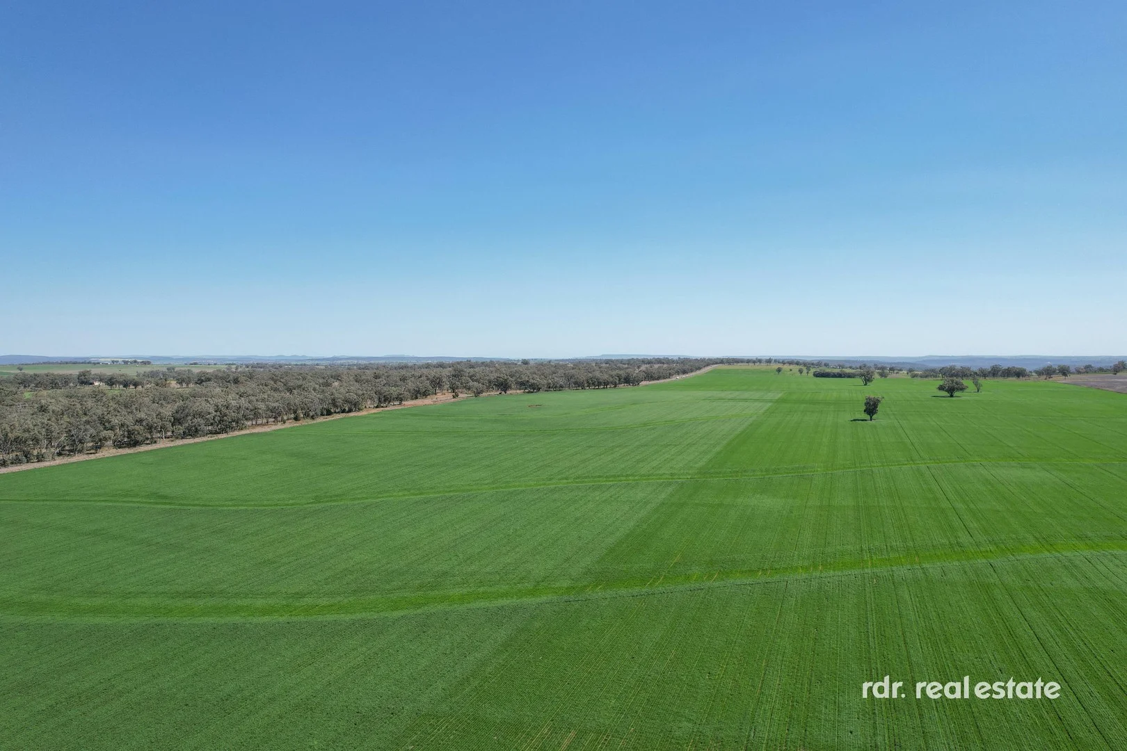 Additional image 2 of 137 Gragin Rd, Delungra NSW 2403