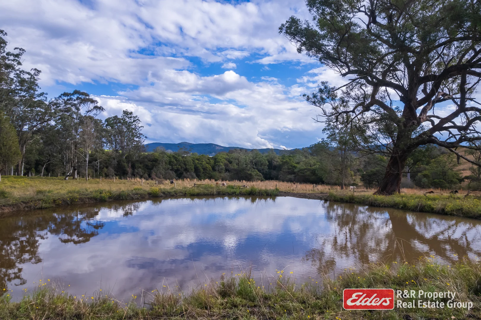 Additional image 22 of 4 Bede Street, Stroud NSW 2425