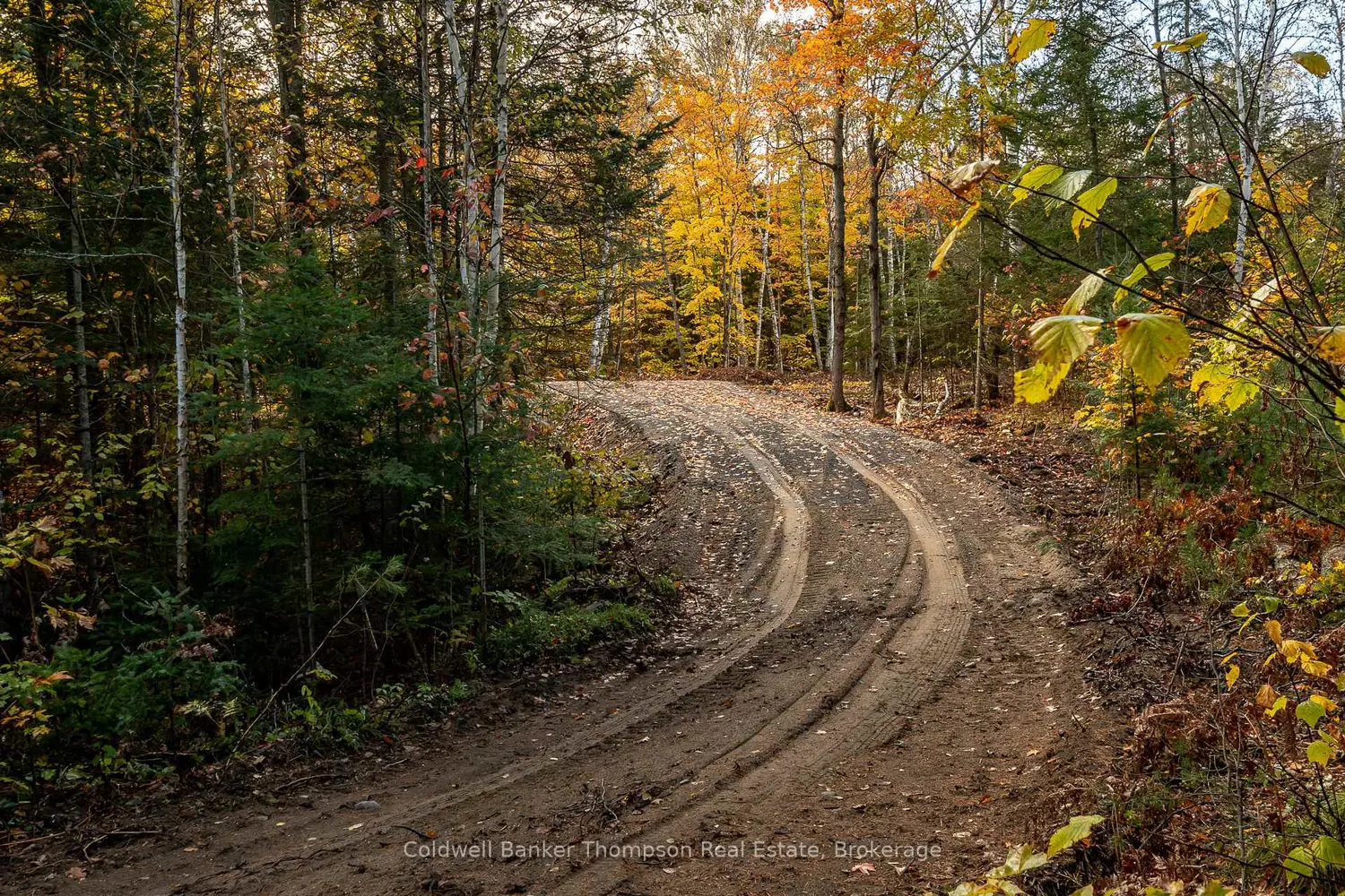 Additional image 5 of Lot 1 Emsdale Lake Road