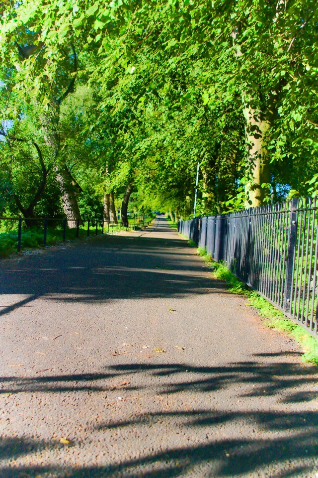 Additional image 9 of 2 Bed Flat, Edinburgh, EH11, N1 7GU