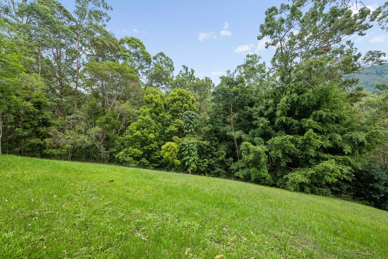 Additional image 12 of 901 Cedar Creek Road, Cedar Creek QLD 4520