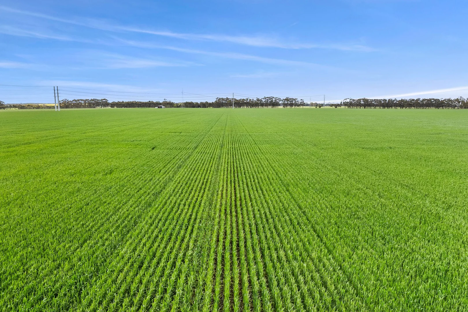 Additional image 11 of ELYS Four Tree Road, Lismore VIC 3324