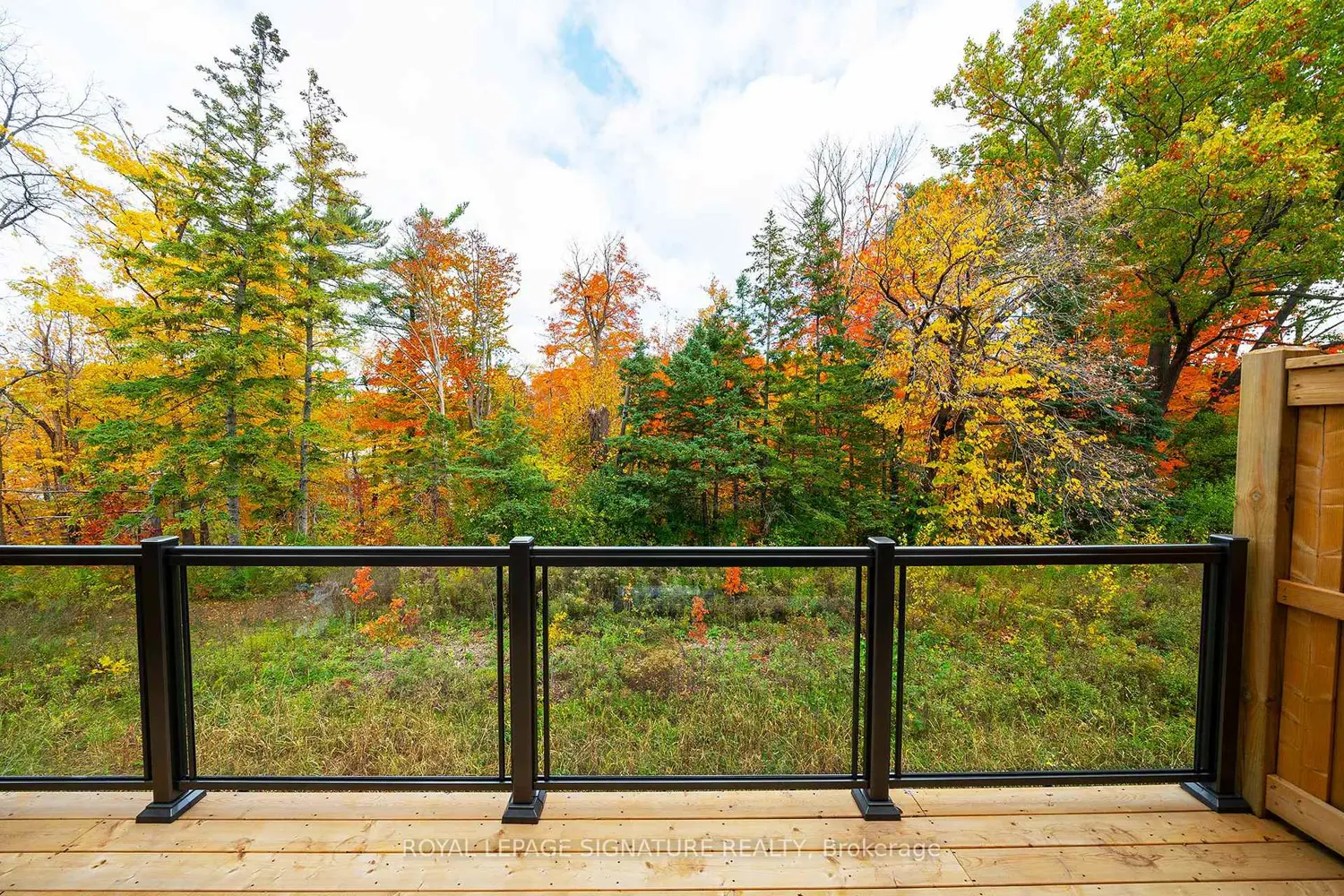 Additional image 15 of 13 Folcroft Street