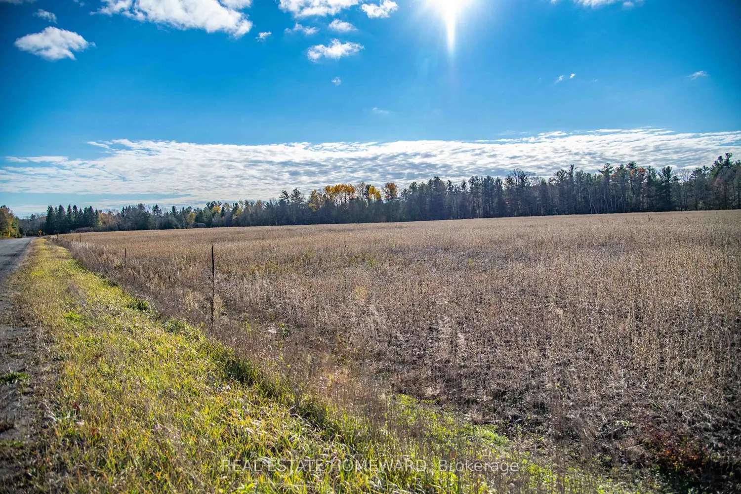 Additional image 5 of 4856 Cold Springs Camp Road