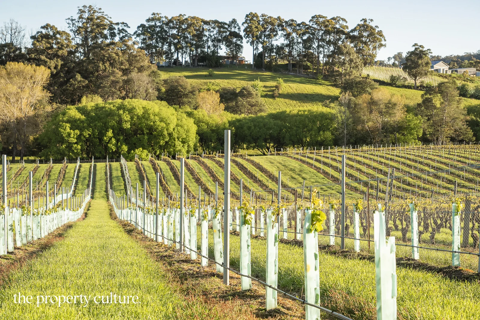 Additional image 27 of 42 Voss Rd, Glaziers Bay TAS 7109