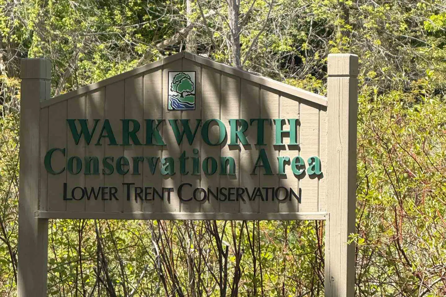 Additional image 5 of Lot 55 County Rd 25