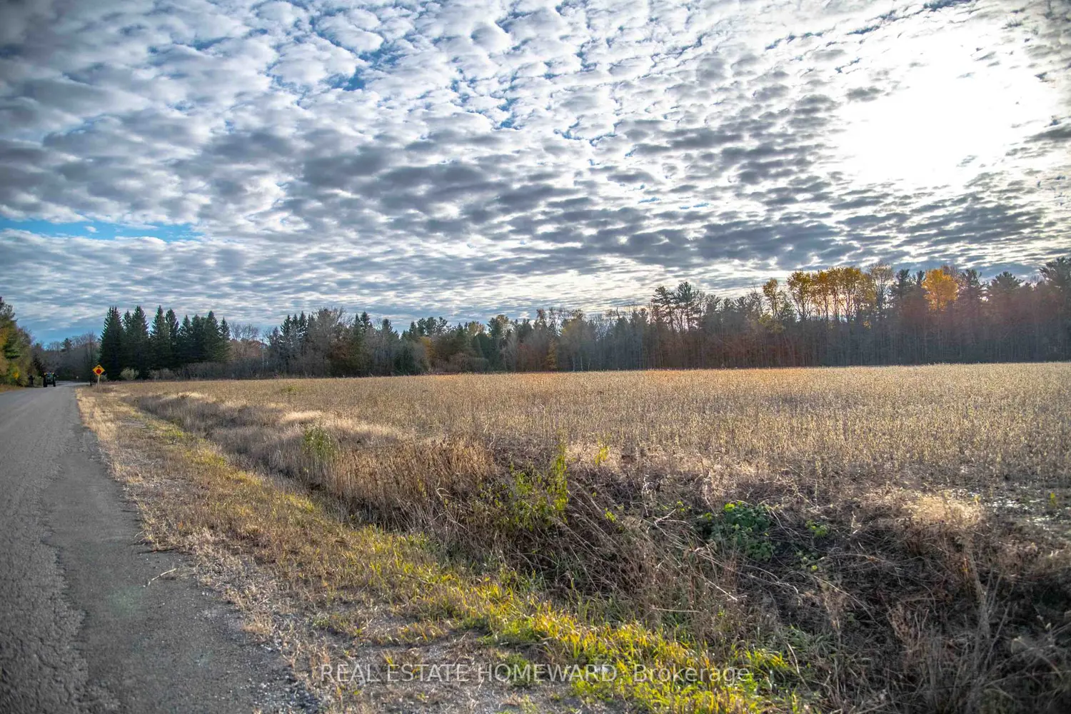 Additional image 8 of 4856 Cold Springs Camp Road