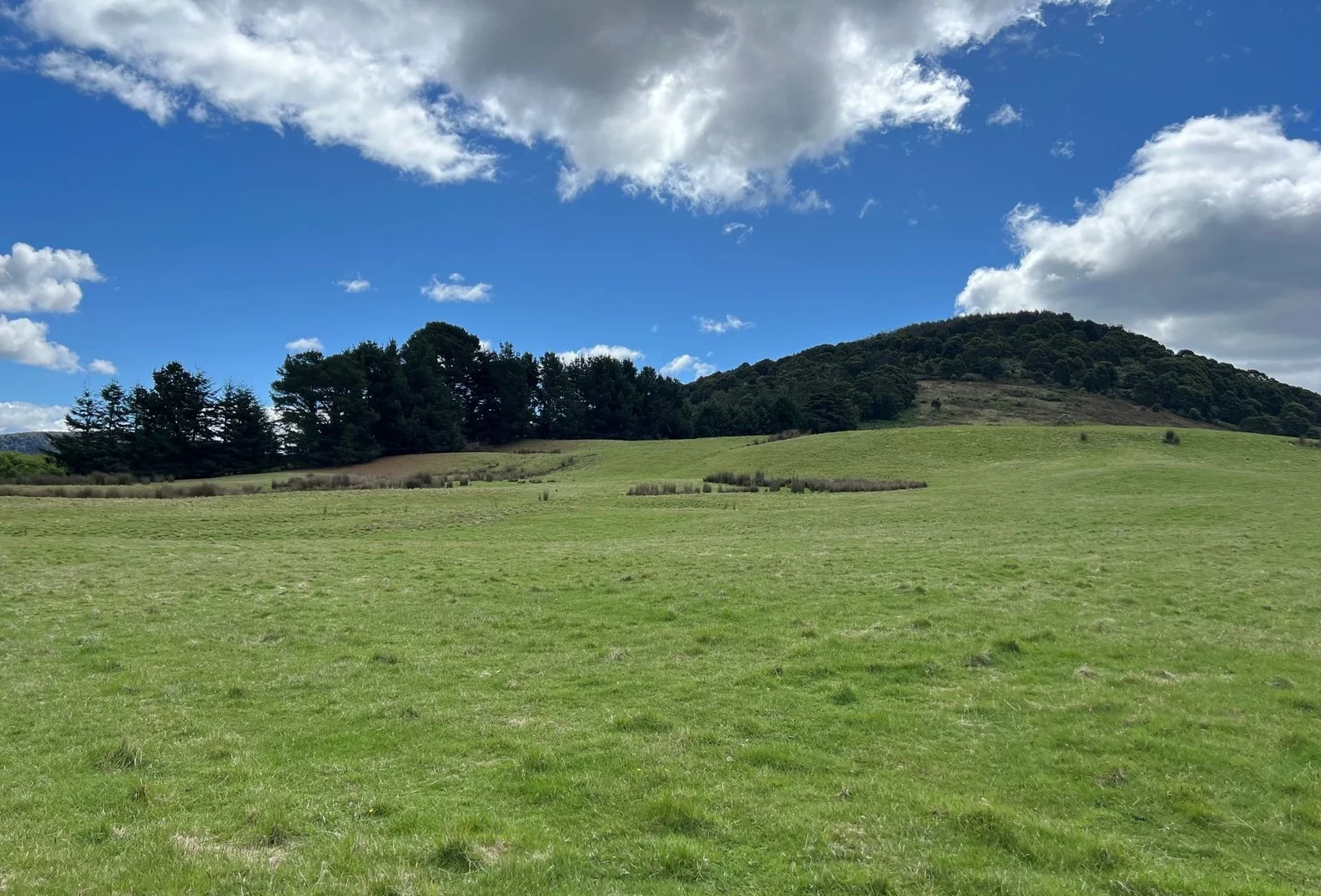 29731 Tasman Highway, Weldborough TAS 7264