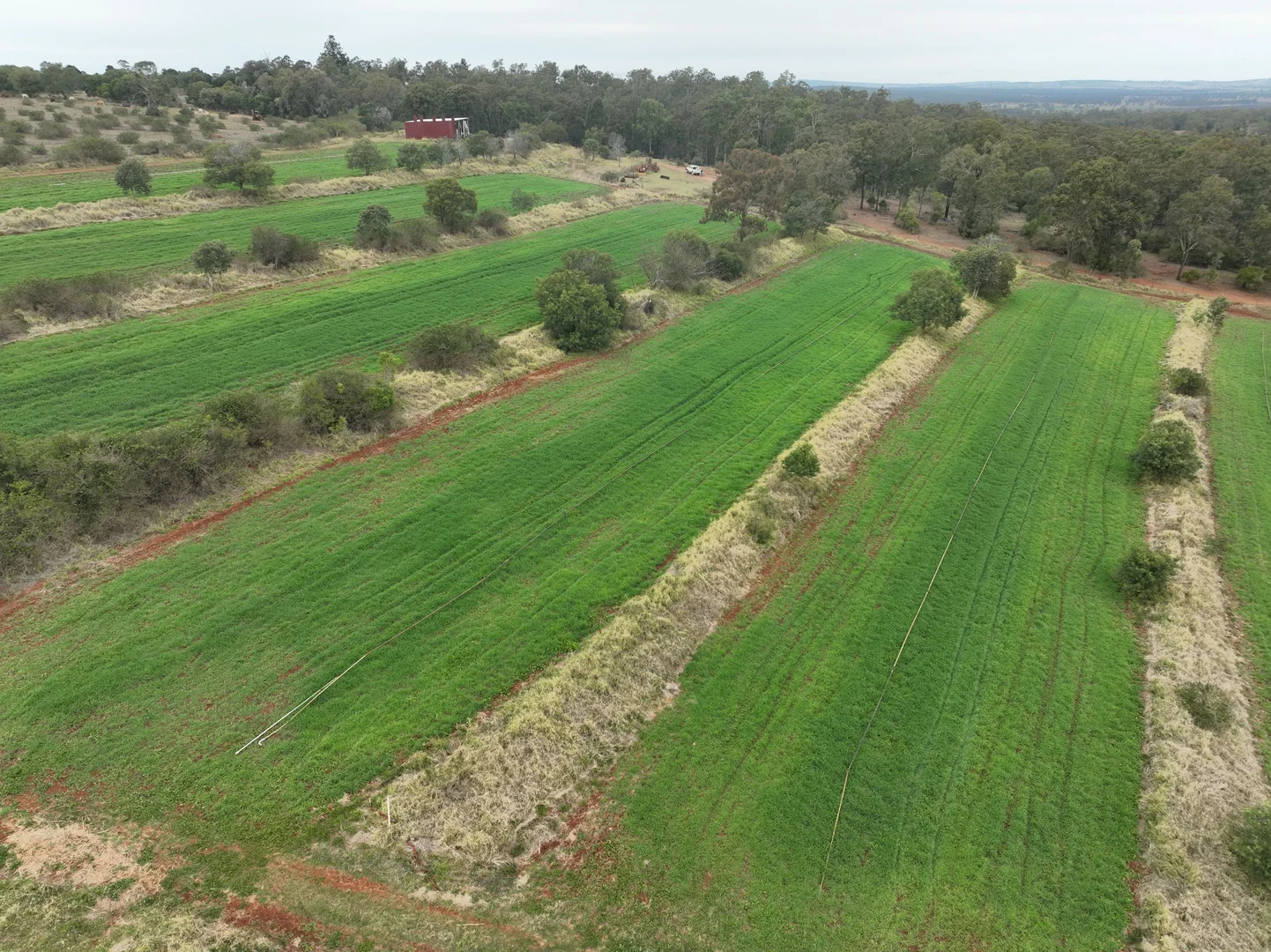 Additional image 6 of 34 Bellottis Road, Oakdale QLD 4605