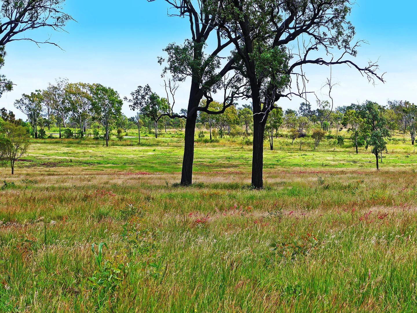 Additional image 10 of LOT 570, 2, 3 Capricorn Highway, Westwood QLD 4702