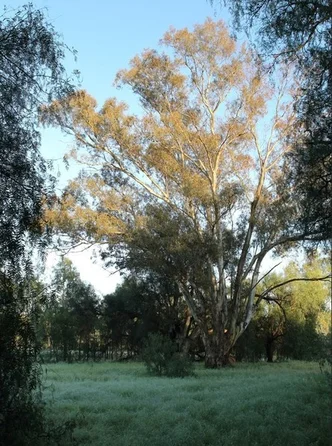 Additional image 3 of Lot/1 Corrys Mill Road, Picola West VIC 3639