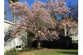 Additional image 35 of 69 Robbins Rd, Sudbury, MA, 01776