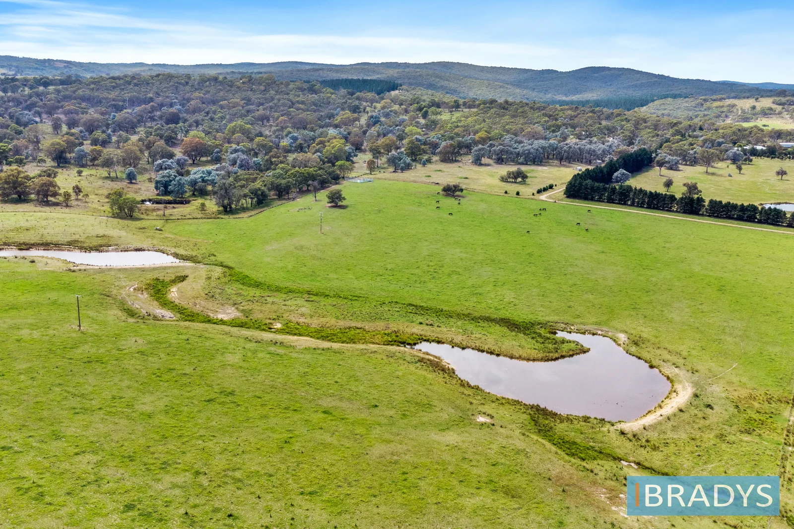 Additional image 10 of 4348 Gundaroo Road, Gundaroo NSW 2620