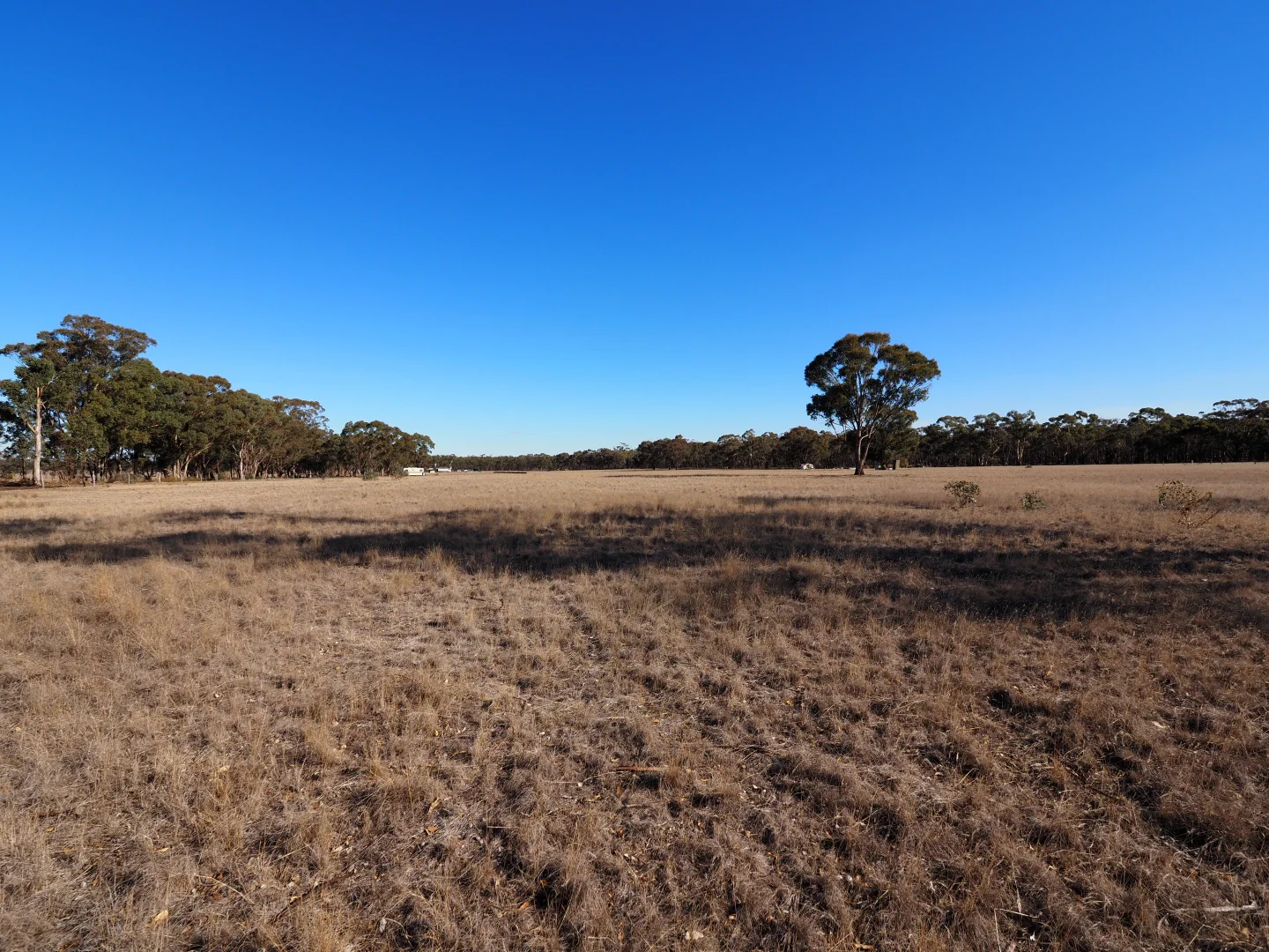 Additional image 8 of 74 Deadhorse Lane, Bowenvale VIC 3465