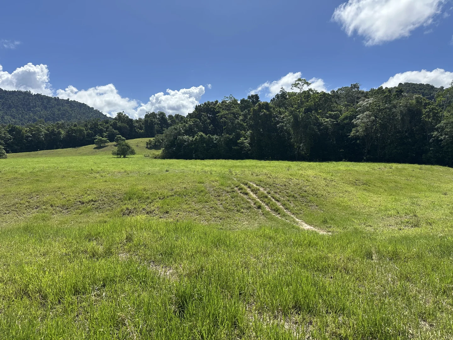 Additional image 16 of Japoonvale QLD 4856
