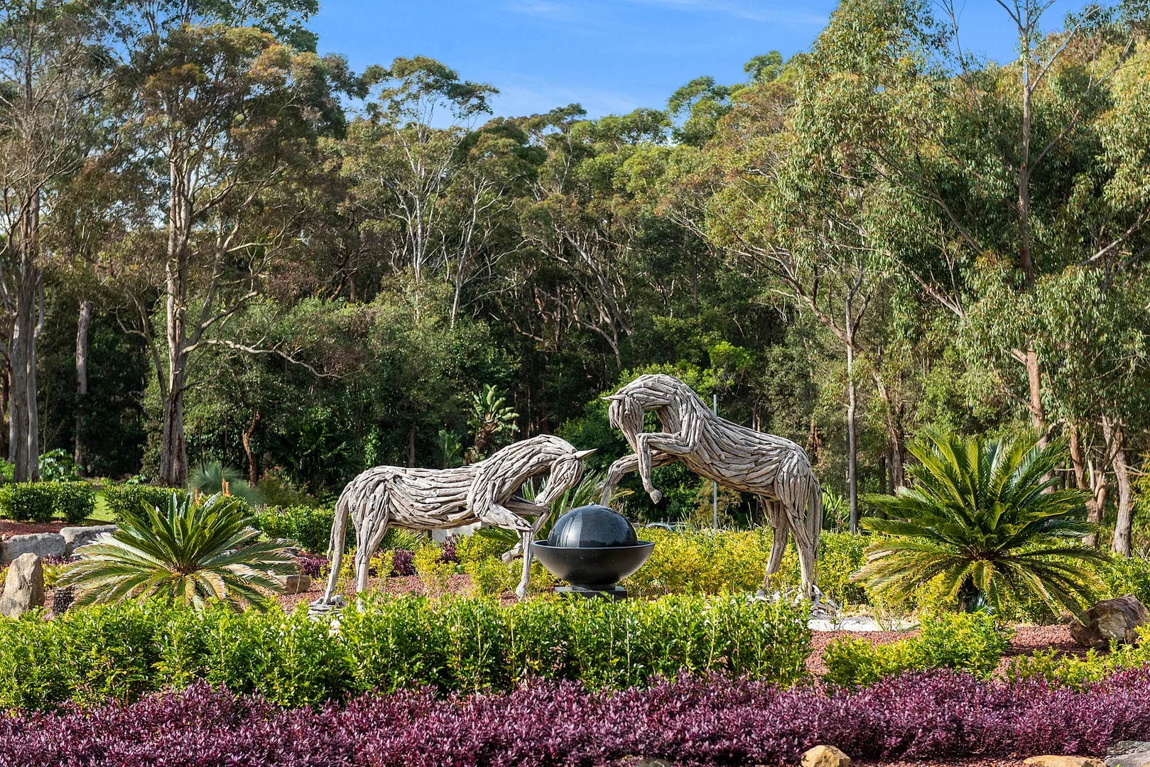 Additional image 28 of 116A Booralie Road, Duffys Forest NSW 2084