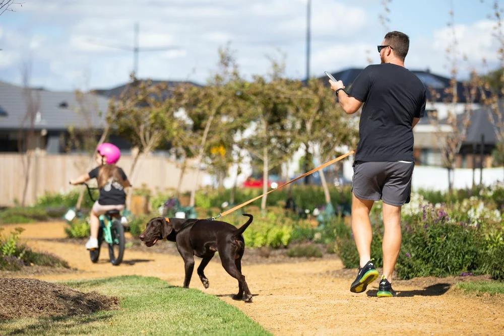 Additional image 4 of Angelica Circuit, Fraser Rise VIC 3336